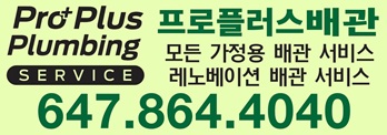 프로 플러스 플러밍
